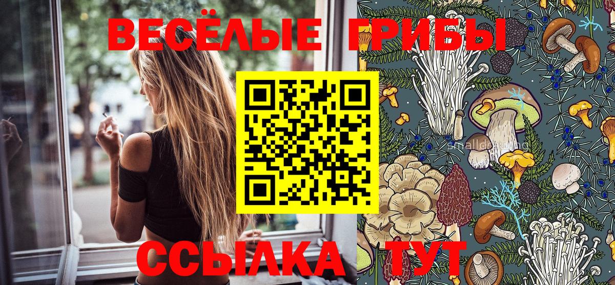 Галлюциногенные грибы Cubensis Котовск