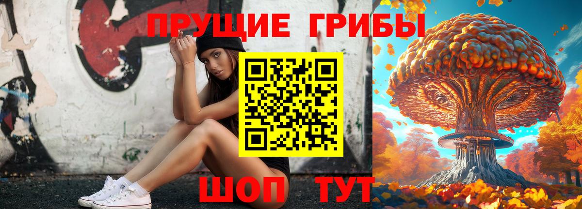 Котовск  Галлюциногенные грибы мухоморы  Вход с VPN 
